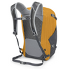 Osprey Nebula 32 Backpack