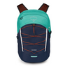 Osprey Quasar 26 Backpack